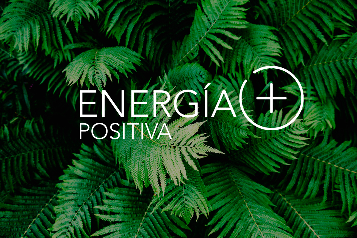 Energía positiva PONS IP