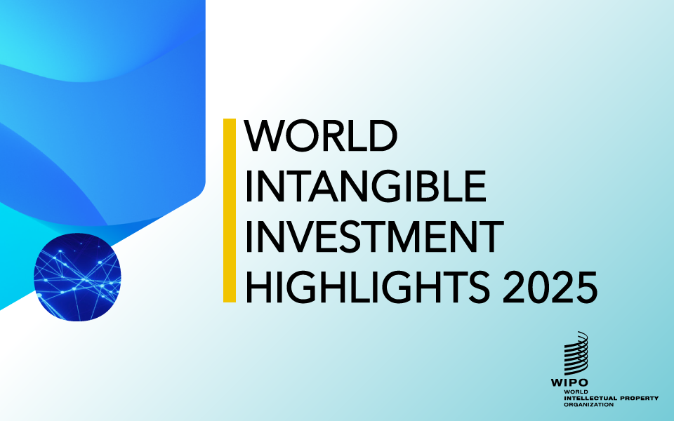 IMG-Informe-WIPO-25-web